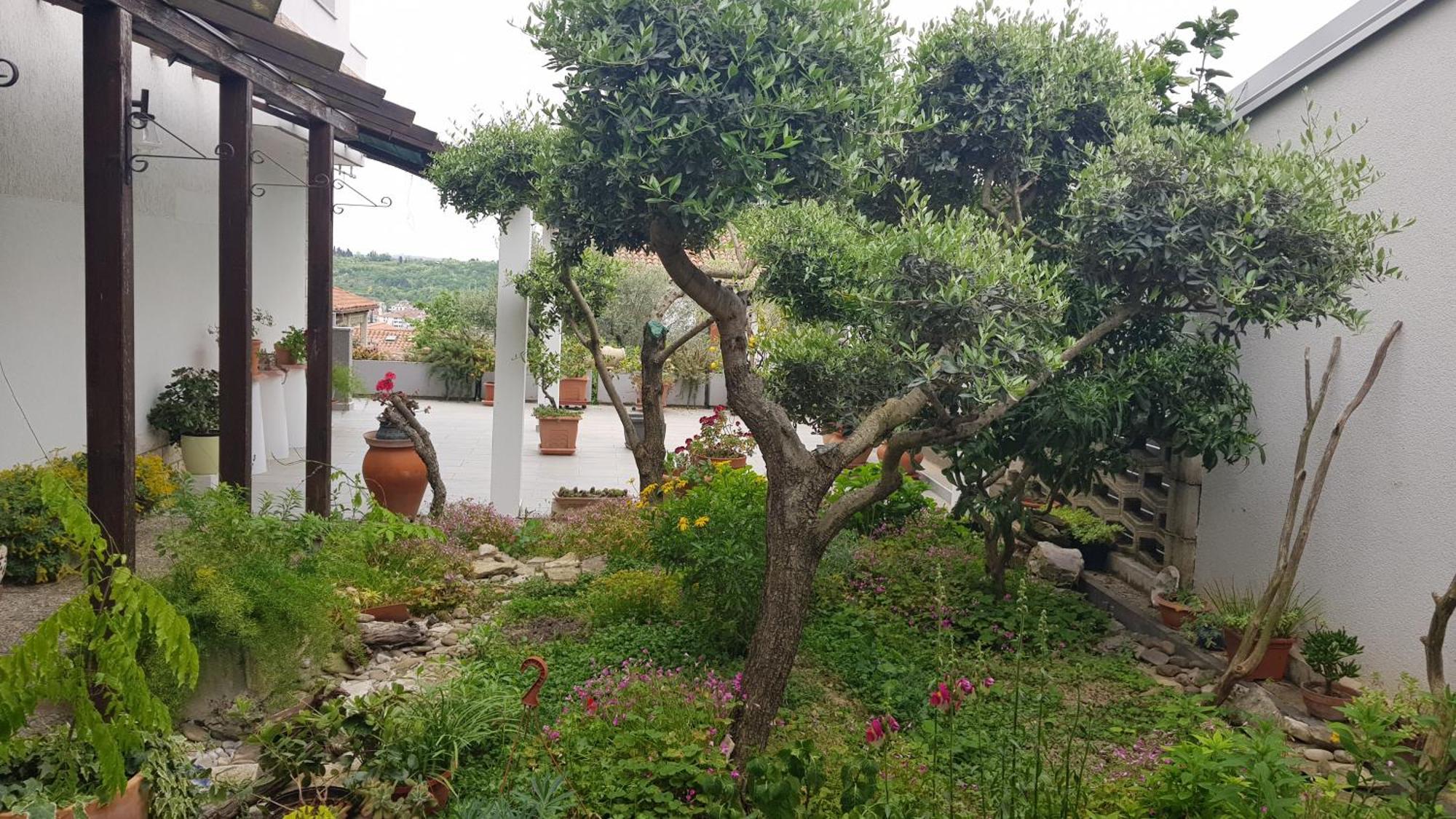 Tramontana Apartman Lucija Kültér fotó