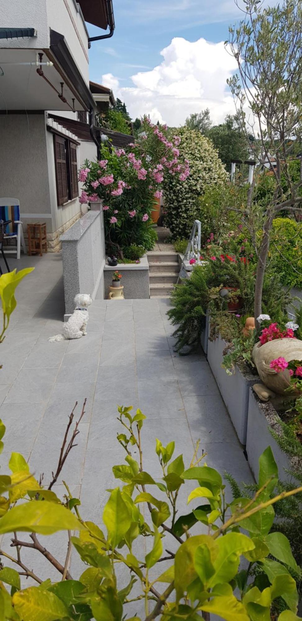 Tramontana Apartman Lucija Kültér fotó