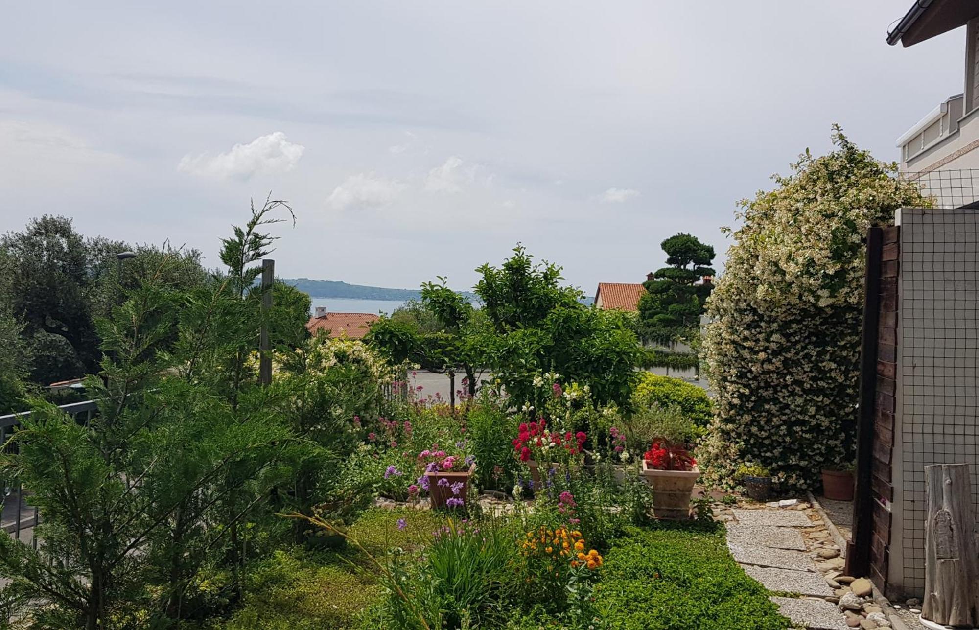 Tramontana Apartman Lucija Kültér fotó