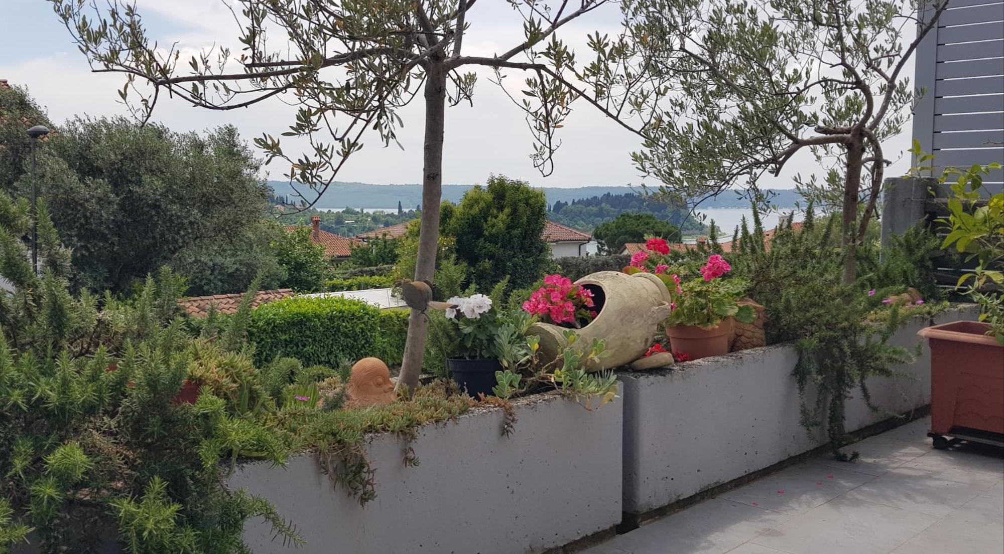 Tramontana Apartman Lucija Kültér fotó